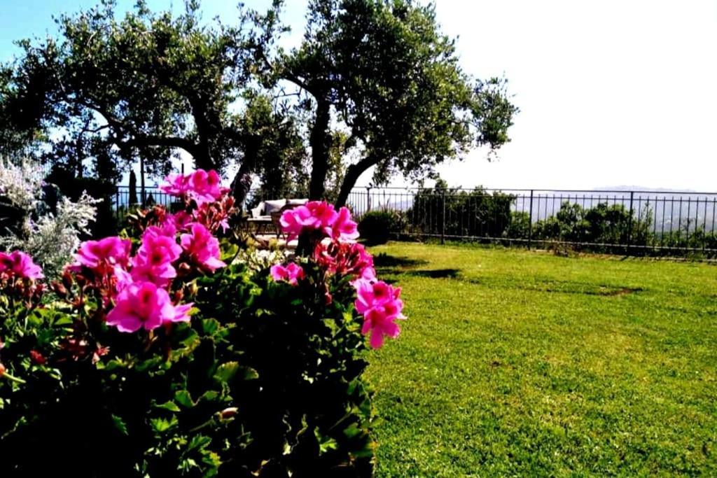 Casa Vista Mare - Superb Garden And Parking Included Villa Imperia Ngoại thất bức ảnh