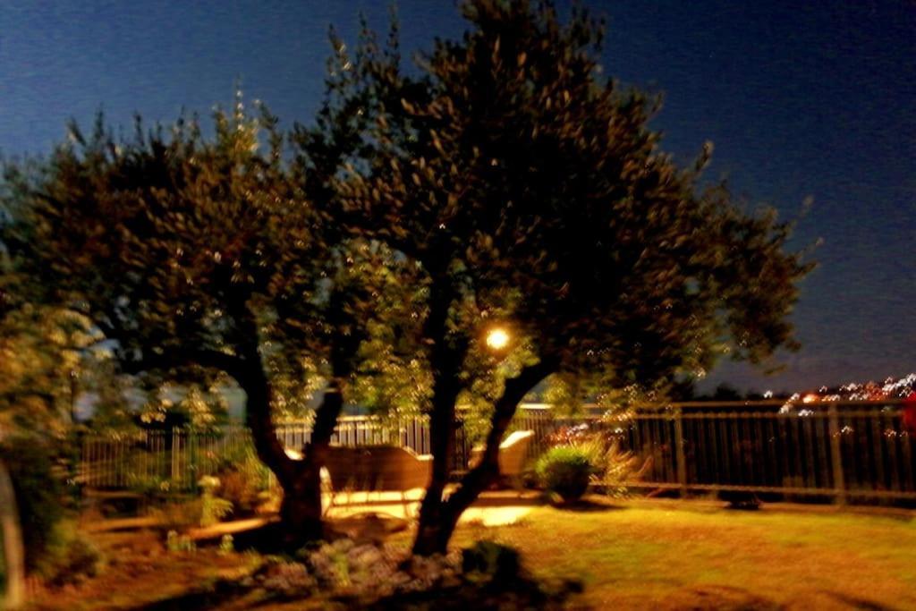 Casa Vista Mare - Superb Garden And Parking Included Villa Imperia Ngoại thất bức ảnh